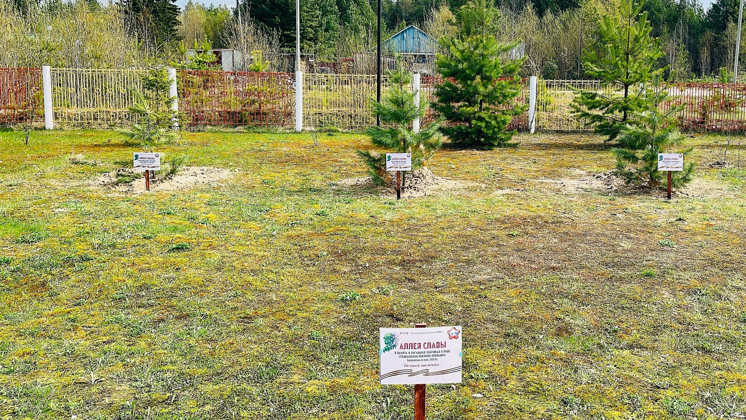 Торжественное открытие 